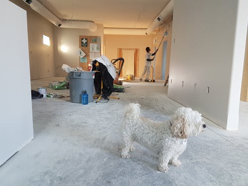 How Much Should I Budget for a Home Renovation?